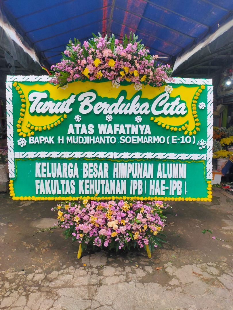 bunga 24